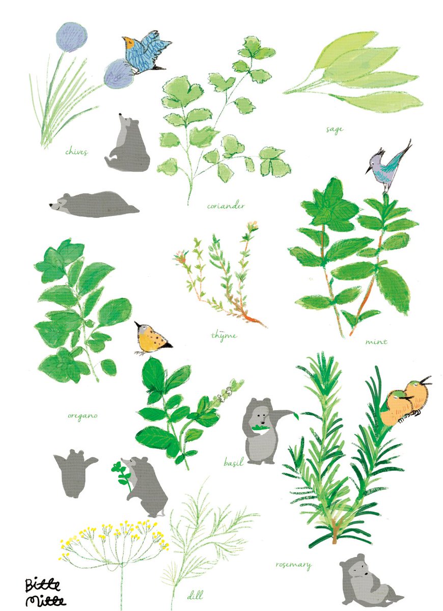 「#植物学の日 」|ももろ　4／20発売絵本「パンダのパクパクきせつのごはん」のイラスト