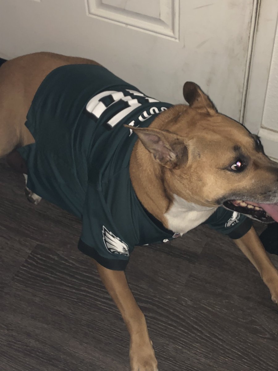 ShadyTheDog1's tweet photo. Iz #NFLDraft day. 
#FlyEaglesFly #MyBrotherIsADork (yes that’s where I got my name...Shady McCoy) https://t.co/3NUm8N7ACD