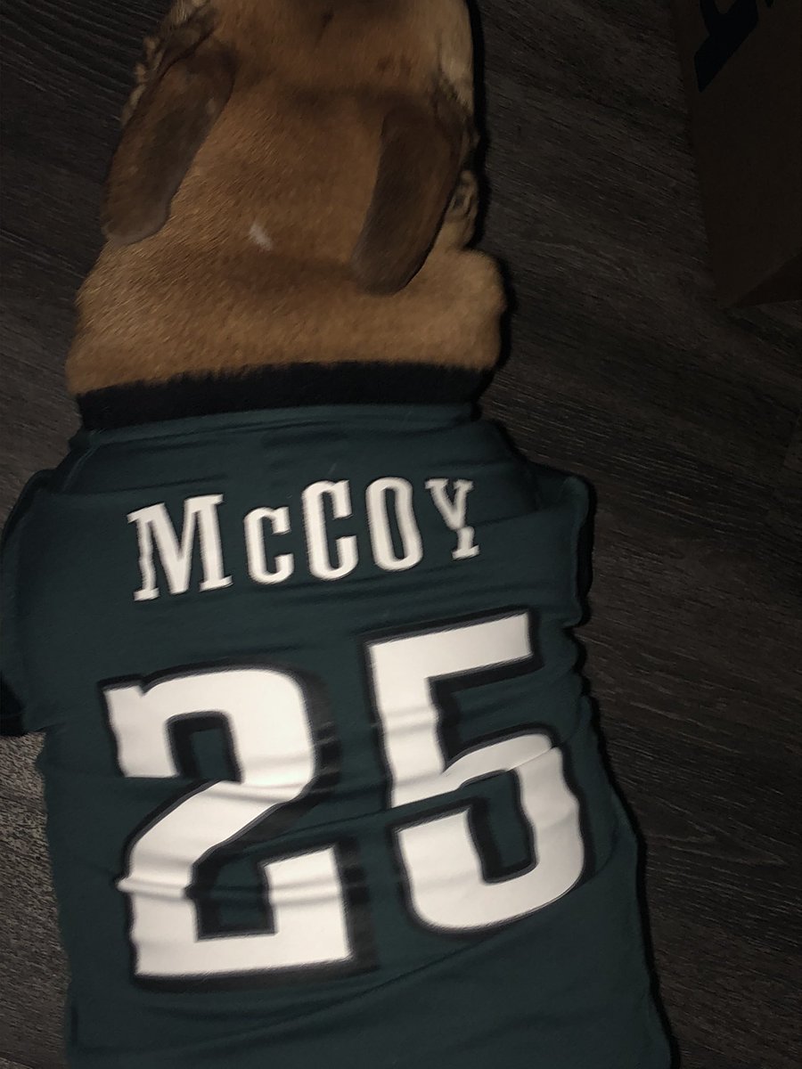 ShadyTheDog1's tweet photo. Iz #NFLDraft day. 
#FlyEaglesFly #MyBrotherIsADork (yes that’s where I got my name...Shady McCoy) https://t.co/3NUm8N7ACD