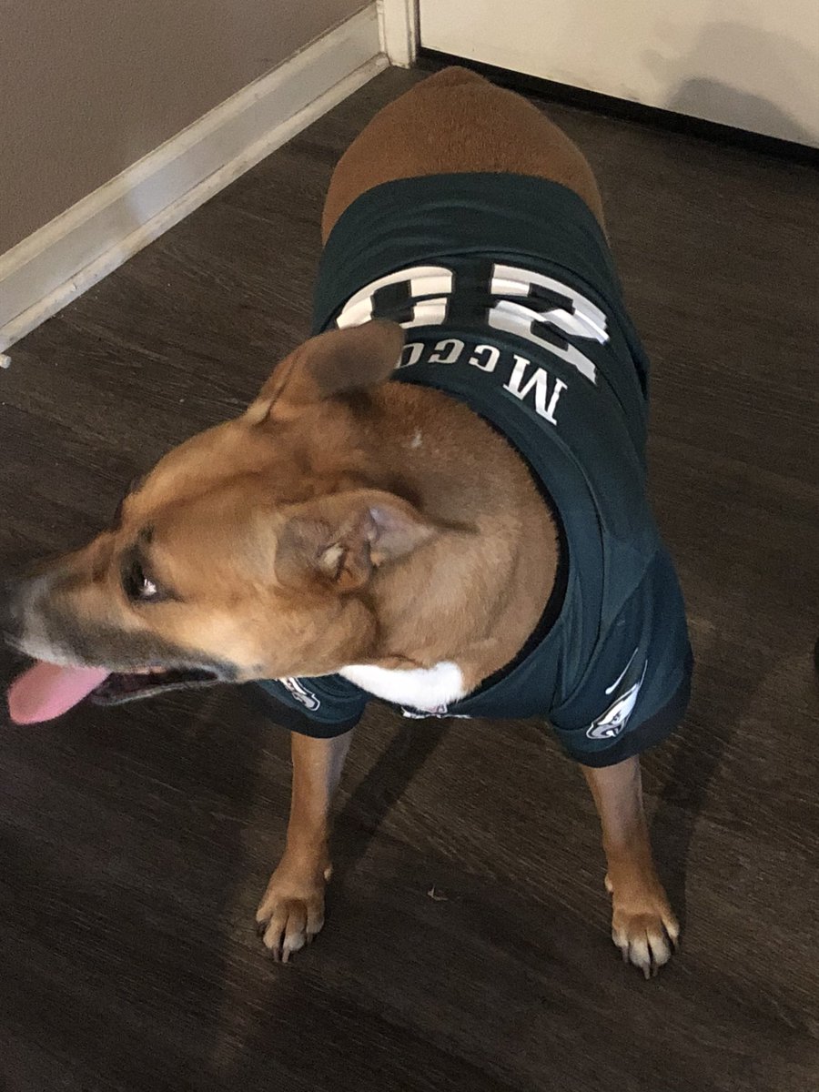 ShadyTheDog1's tweet photo. Iz #NFLDraft day. 
#FlyEaglesFly #MyBrotherIsADork (yes that’s where I got my name...Shady McCoy) https://t.co/3NUm8N7ACD