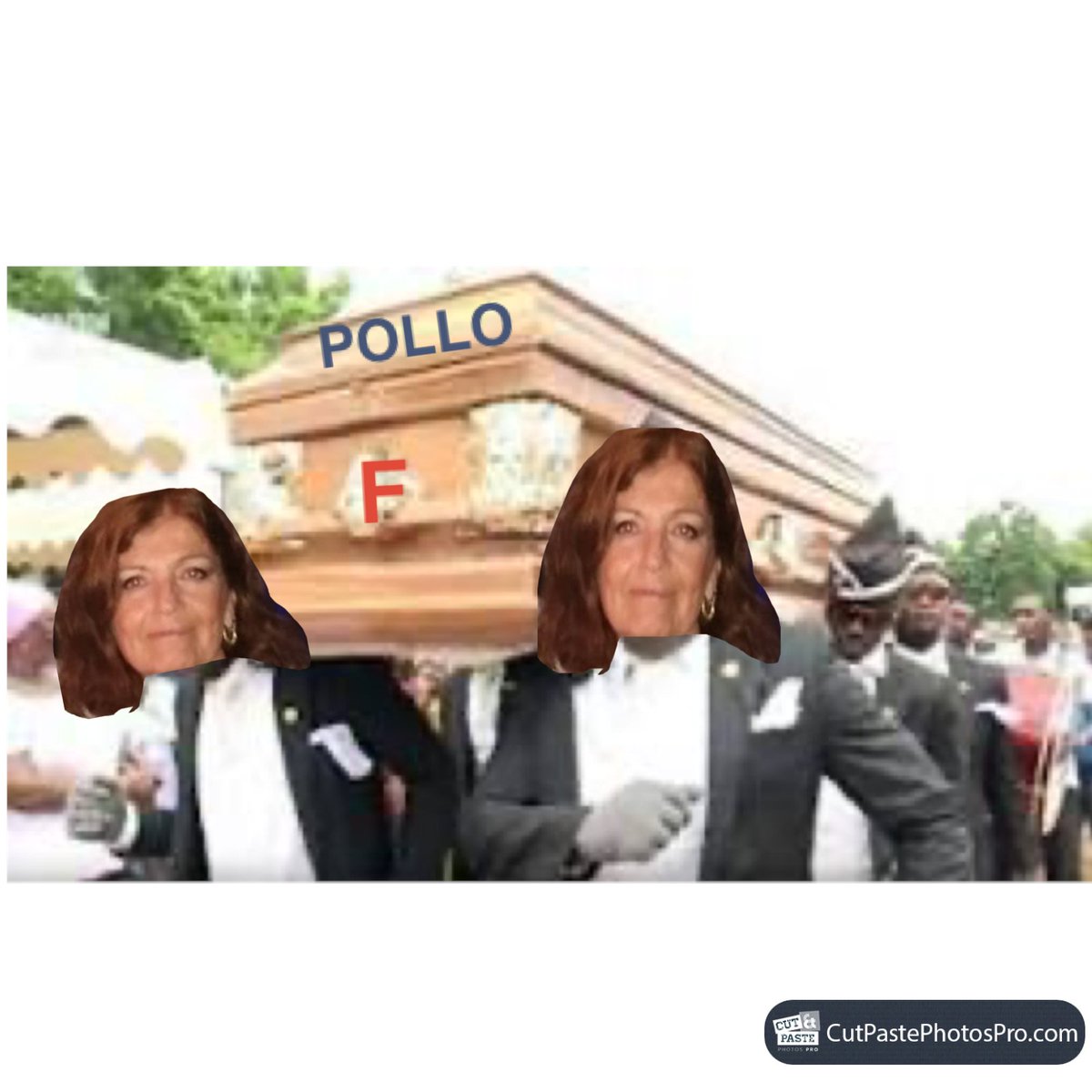 Meieroy's tweet photo. @paulodossa Pray for pollo https://t.co/dIW08S9lyC