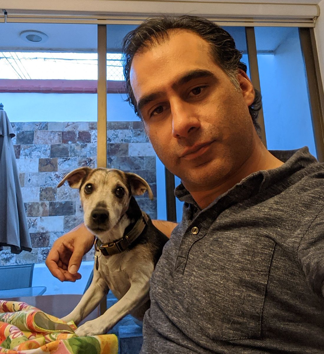 MichelChain's tweet photo. Mi compa "el Jack" y yo, echando sobremesa.
#JackElPerro #PerroDeCampaña https://t.co/Pmn2lZDD9X