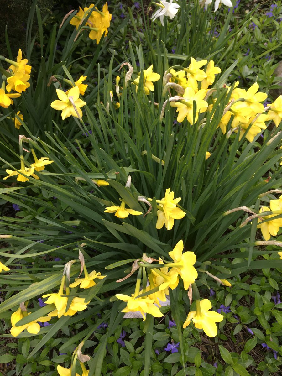 Ms.Feret tweet media