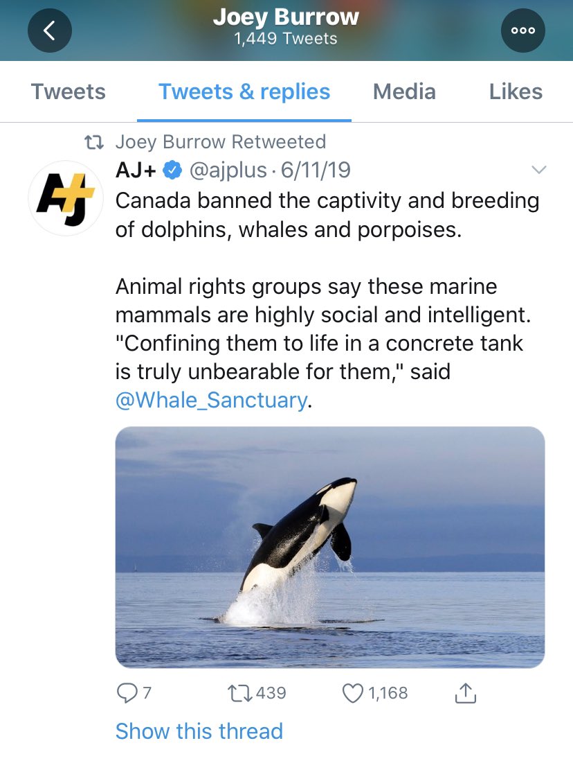 Joe Burrow shared this news about Canada banning captivity for whales.