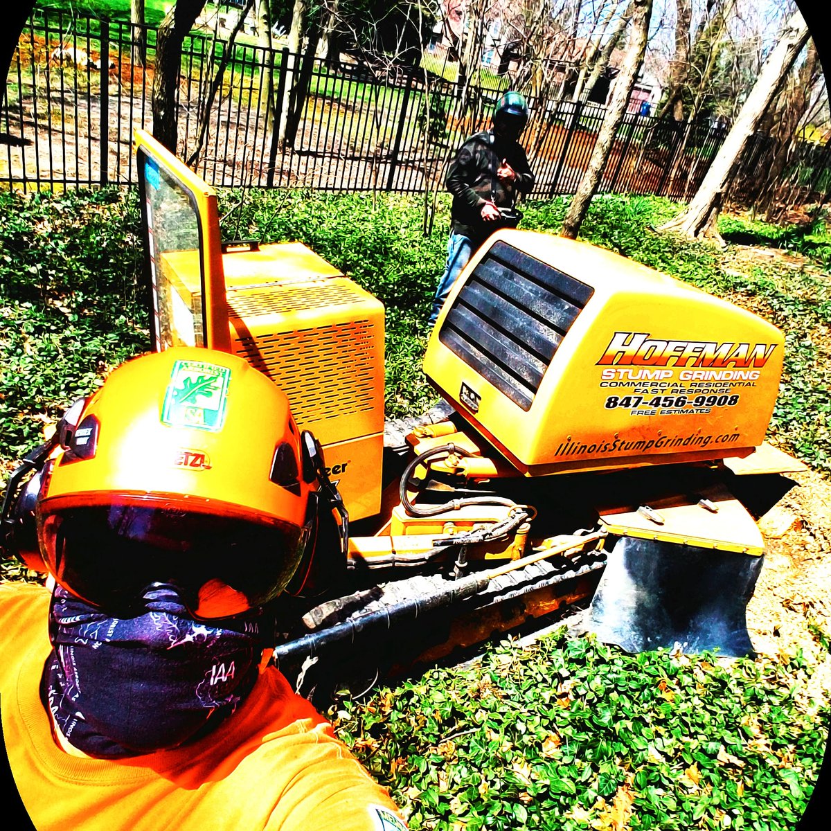 GreenExtraction's tweet photo. Practicing "Social Distancing " while providing #essentialservices with @jimhoffman of @hoffman_stumpgrinding at a  clients of @green extraction technologies llc 's in #dupagecounty.
#treedoctor #gratitude #arboles   #urbanforestry #greencollarjobs #professionalarboriculture https://t.co/y5rXbcTqkc