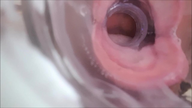 For all my fans, new content up on Modelhub: https://t.co/7FKeYE0Rt2 https://t.co/A8nhaHfQLS