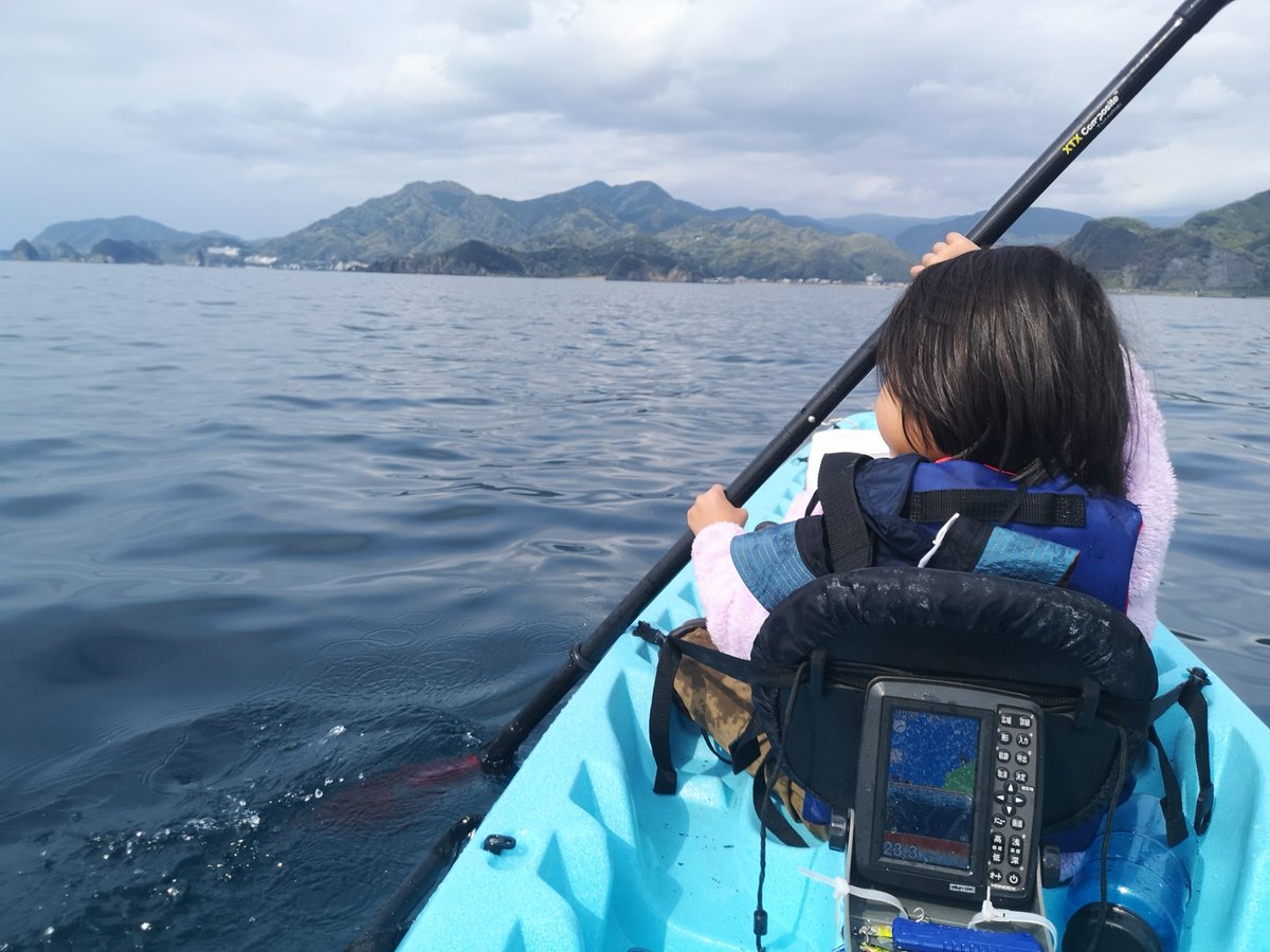ট ইট র 松本潤一郎 ニッポン カヤック釣り紀行 この後 ウミガメに2回遭遇して大興奮したものだから毎日カヤックで釣りに行こうとせがまれる 魚探の本を読んで今度はキンメダイ釣るとか生意気言ってるので昨日はジョーズを見せたら瞳孔開いてビビってた