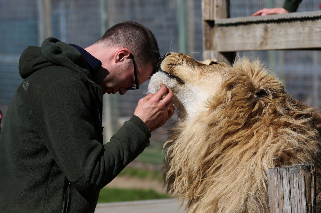 I've got his back and he's got mine. The king of the jungle and my brother from another mother.🦁❤️