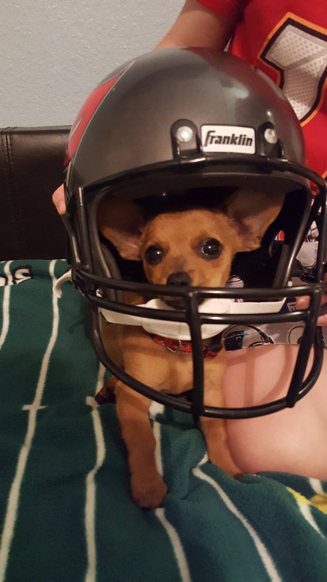 Family time watching the <a href="/NFLDraft/">NFL Draft</a> Jack and puppy Dash are ready! 🏈❤🐾🙂 #TampaBayBuccaneers <a href="/NFL/">NFL</a> <a href="/Buccaneers/">Tampa Bay Buccaneers</a>