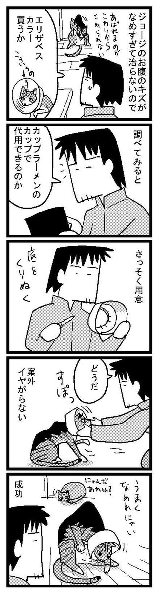 280 カップジョージ 