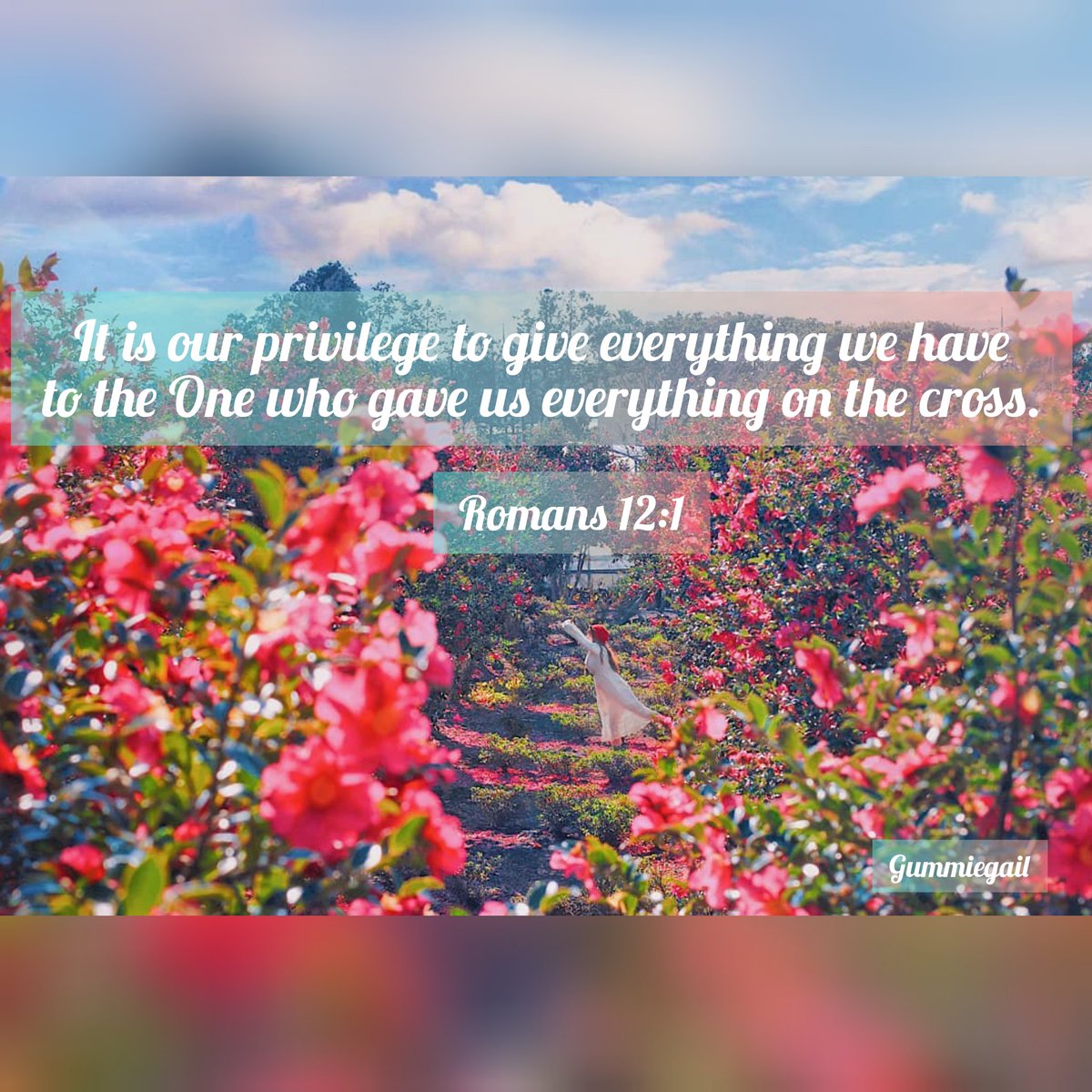 LifeVandQ's tweet photo. ReminderNo.14:
It is our privilege to give everything we have to the One who gave us everything on the cross.

Romans 12:1

#LifeVersesandQuotes 
#TrustJesus 
#lifeverses 
#lifequotes https://t.co/xtwo7Hj77U