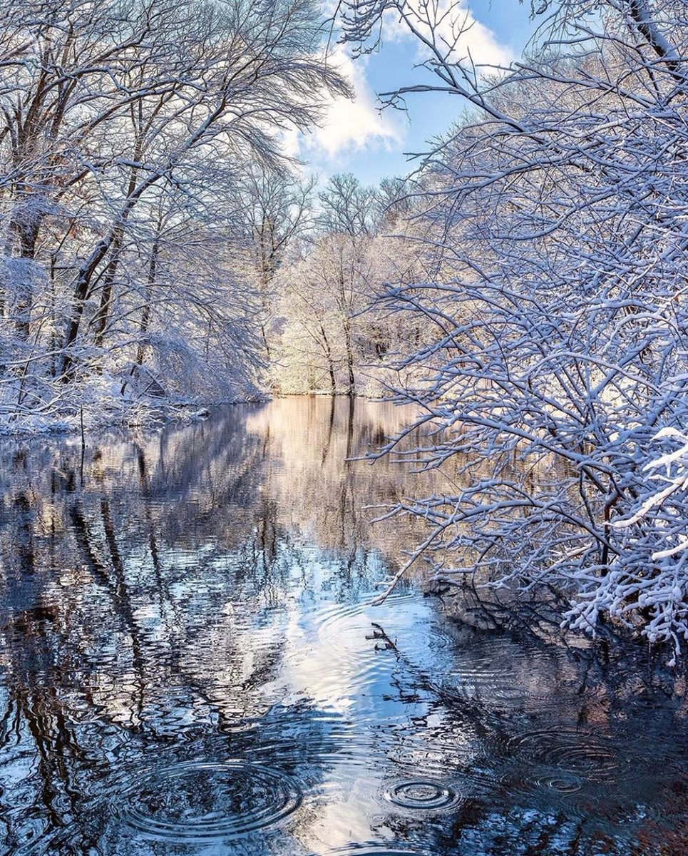 NewEnglandPosts tweet picture