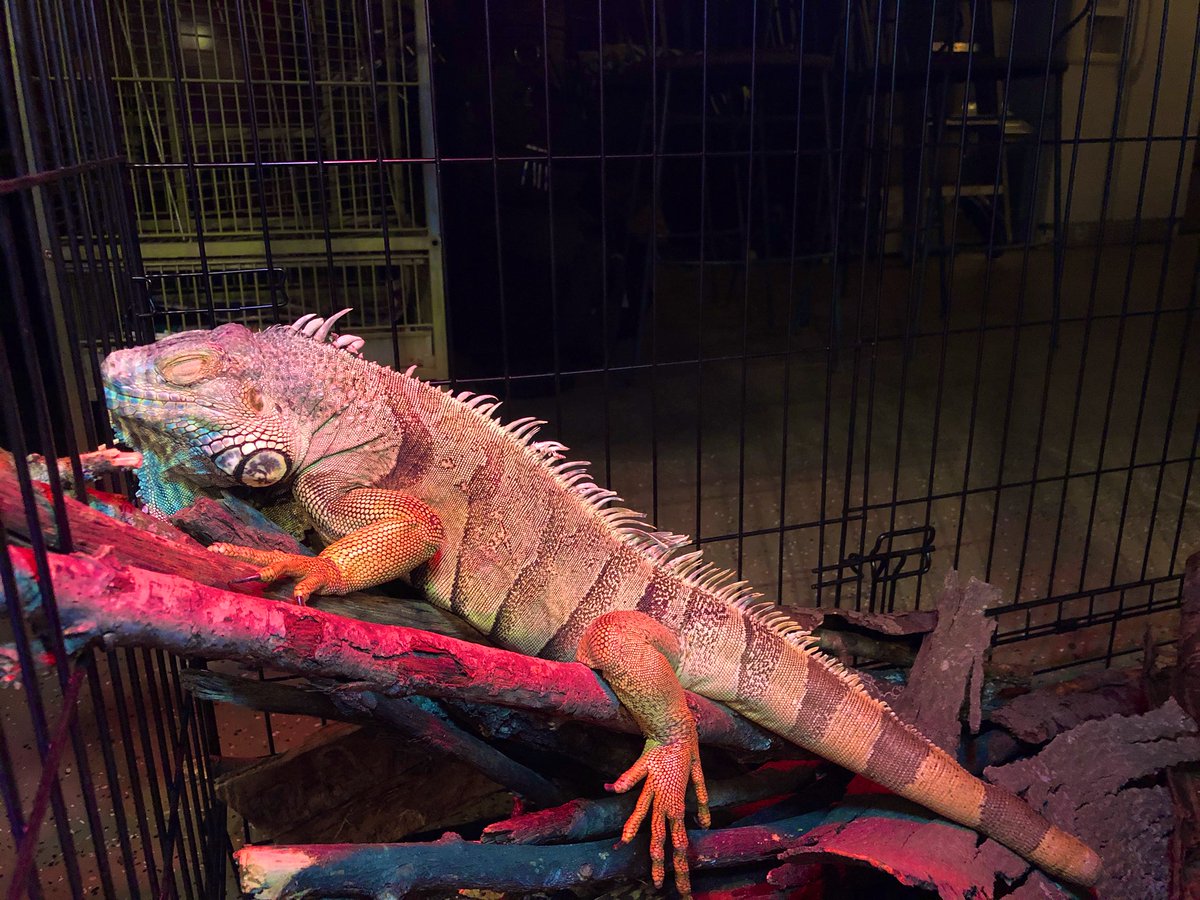 And of course Dexter