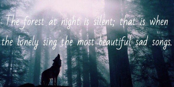 evelyn_m_k's tweet photo. Good Night Pack โค๏ธ๐๐บ๐ป๐ด๐ค Stay Safe - Stay Strong @Nokomaq @DianeRedelinghu @MiriBen2 @nkDarkDrgmailc1 @GichiGumee @hugwildlife @DerekPa56710094 @rotrujo @Graywolf080458 #SaveWolvesBears https://t.co/wzBLVXgcrw