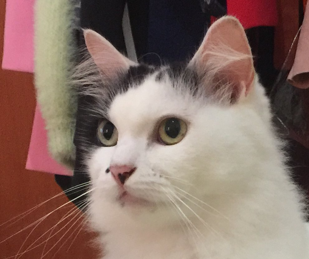 Ekspresi bintik kalo lagi diomelin