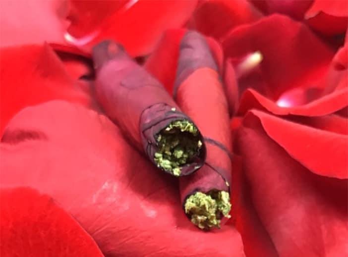 I wanna try a rose petal blunt, apparently its really floral and smooth. burns like a nice paper, & smoking rose petals lifts depressive moods and creates a feeling of well being and mild euphoria.