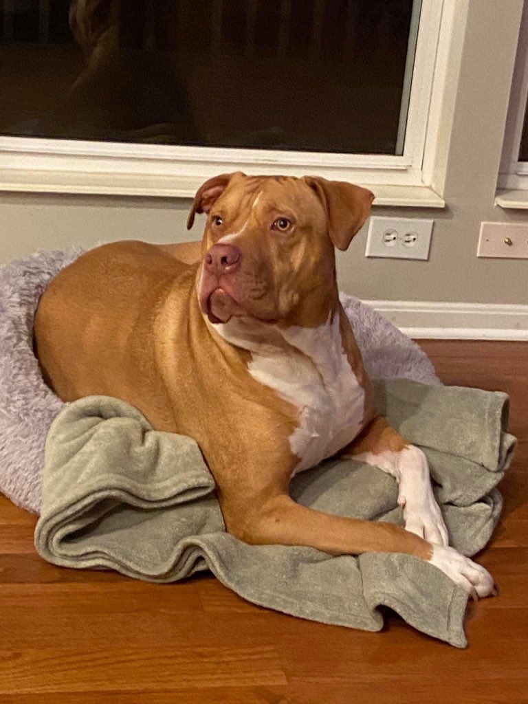 Lisa Phair, Realtor tweet media