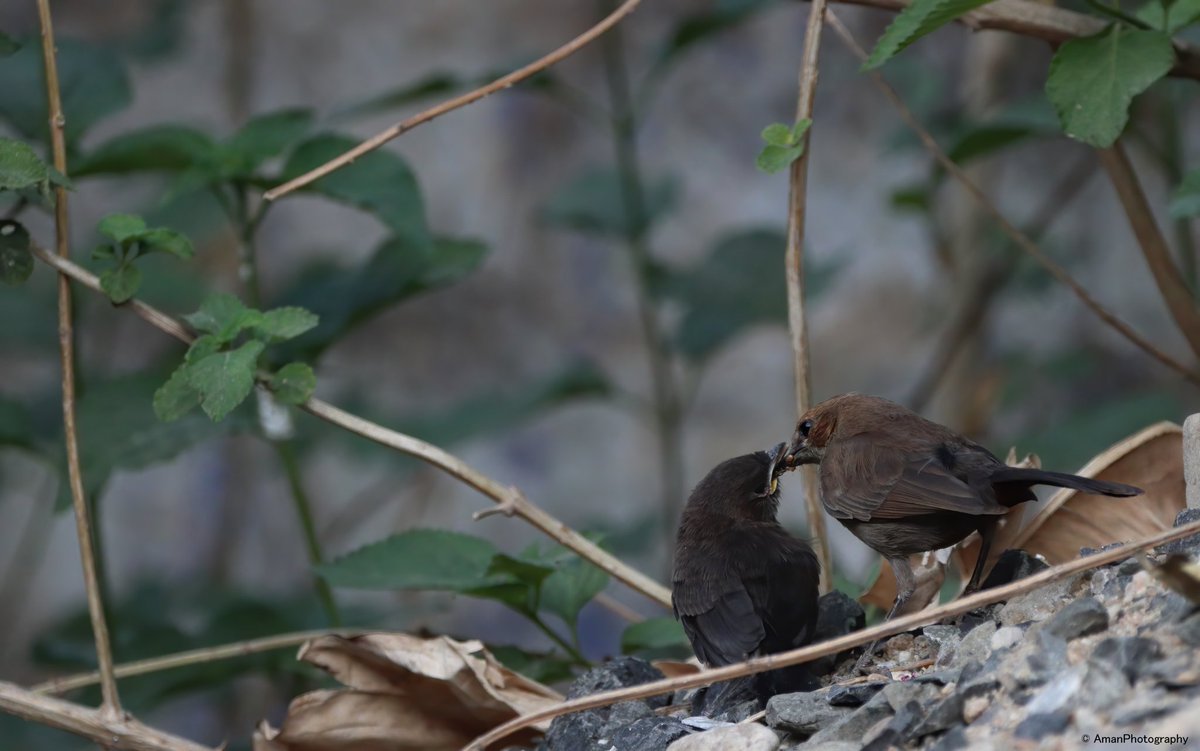 Here some beautiful moment of mommy & baby