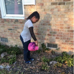 AHBangert tweet media