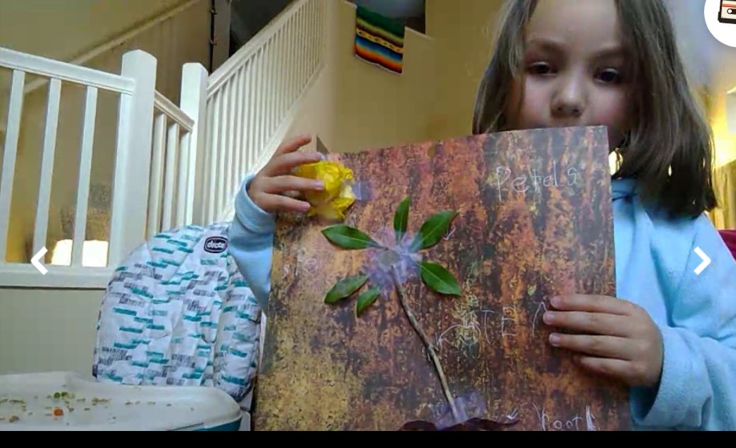 KinderPrepAGCS's tweet photo. For #makerspace Monday students created a flower using at least for different items they had at home. I loved their wonderful creativity, they turned out great! #STEM #EarlyChildhoodEducation #remotelearning @rentonprep @mrsmdchang https://t.co/y3NedKYHE5