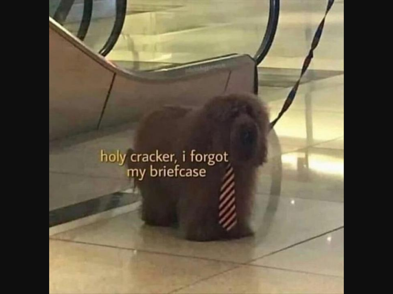 Mr_Memester_'s tweet photo. #brief #story #memes #mrmemester #dank #memes2020 https://t.co/XCLvtIB5CY