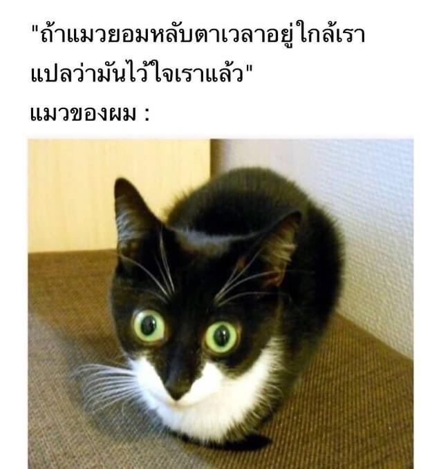 B tweet media