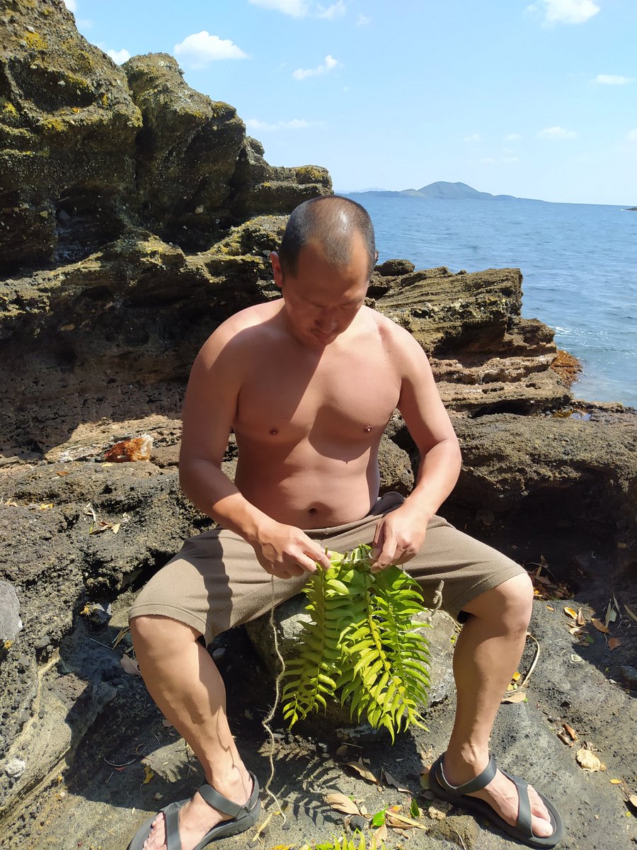 緊急事態宣言が発令されている間 無人島で自給自足生活をした記録 エクストリーム自粛 Togetter