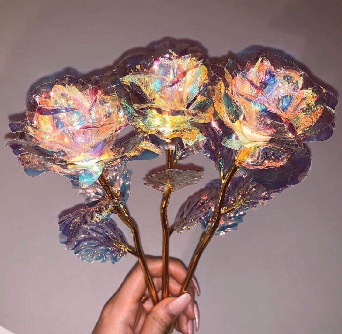 rakilstormi's tweet photo. babe got me a Galaxy rose 💛 made my day😍 https://t.co/McTLZ5Pyuw