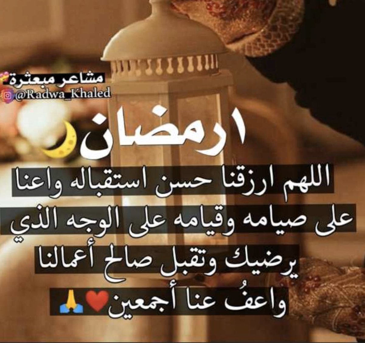 Ala’a galal (@alaagal11259818) on Twitter photo 