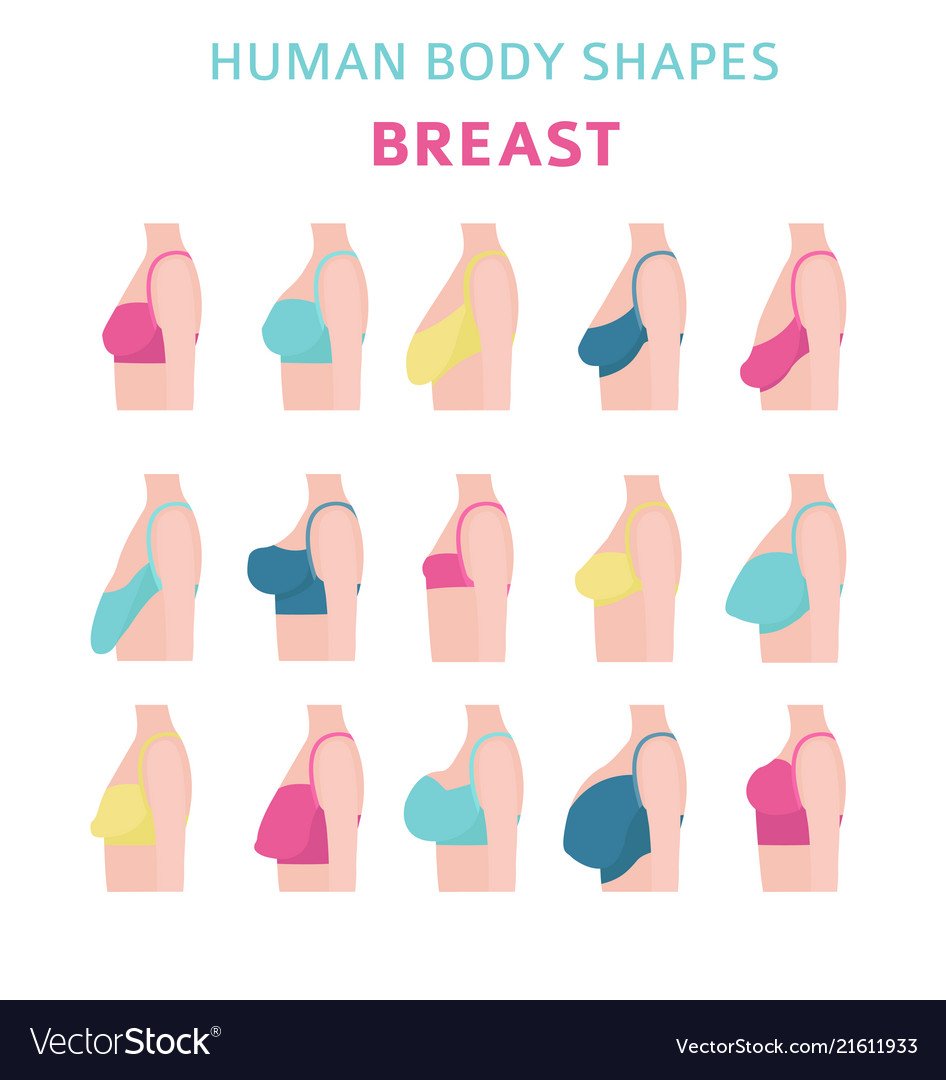 HexMix⁉️  Hiatus on X: The type of bra we wear can *massively* change how  our breasts look - even our entire silhouette. For me, I am a 32GG on a  small