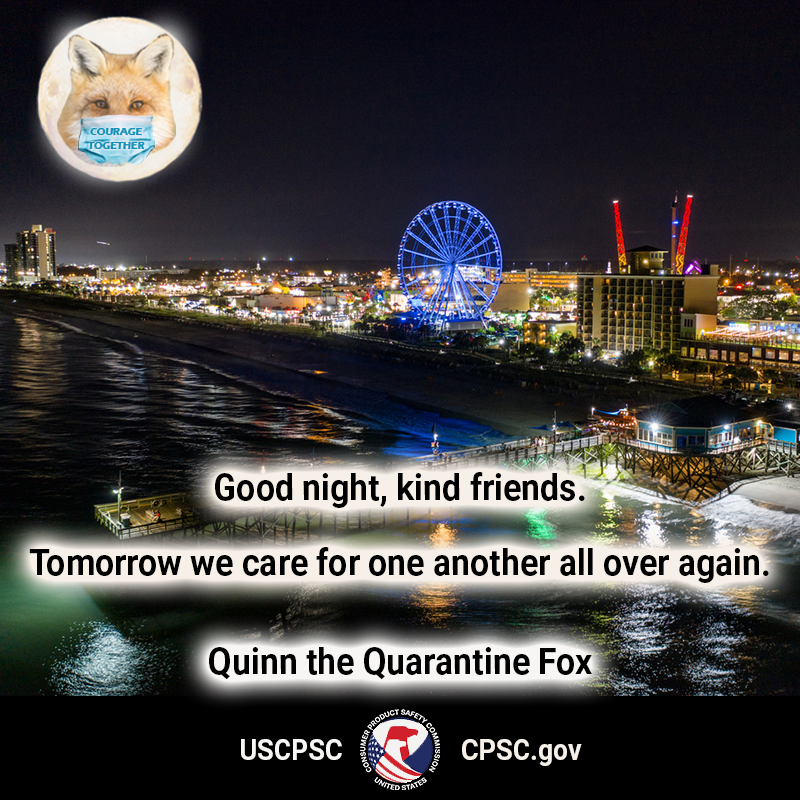 A picture of myrtle beach south carolina. There's a fox in the moon wearing a mask. The text reads: good night kind friends. tomorrow we care for one another all over again. quinn the quarantine fox.