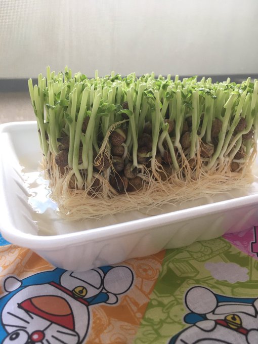 Twitterのコスプレ画像24