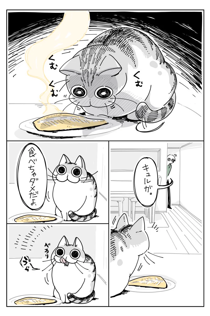 焼き魚を見に来るネコちゃんの漫画がかわいい！その凄まじい表情がなんとも言えない！！ww