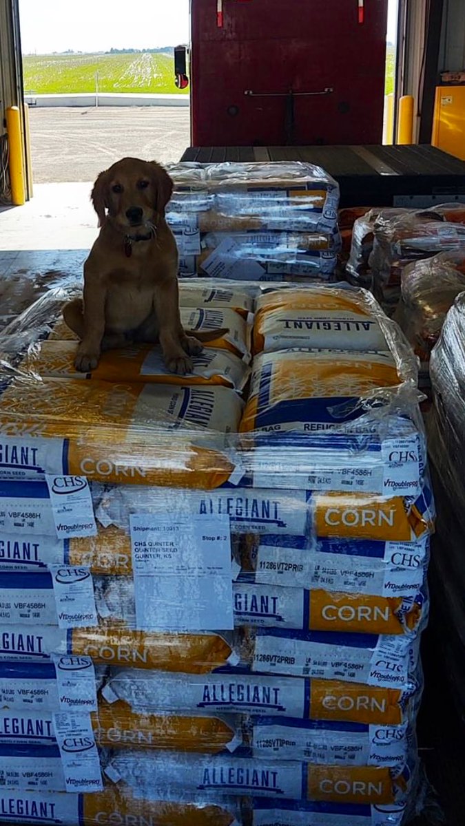 CClinkingbeard's tweet photo. A little extra help never hurts when it comes to #plant2020. @Asgrow_DEKALB @AllegiantSeed https://t.co/Zabhzk9txR