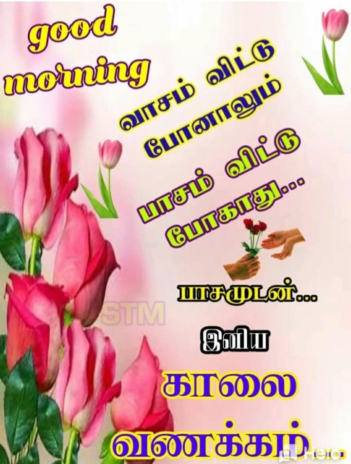 Good morning have a nice day