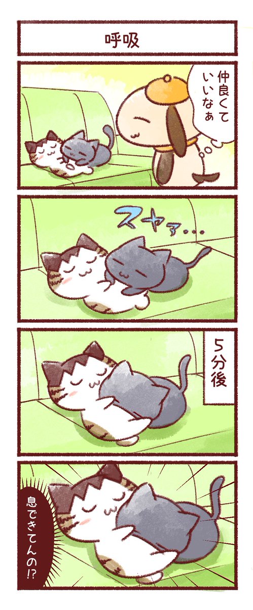 我が家のお猫さま③ 