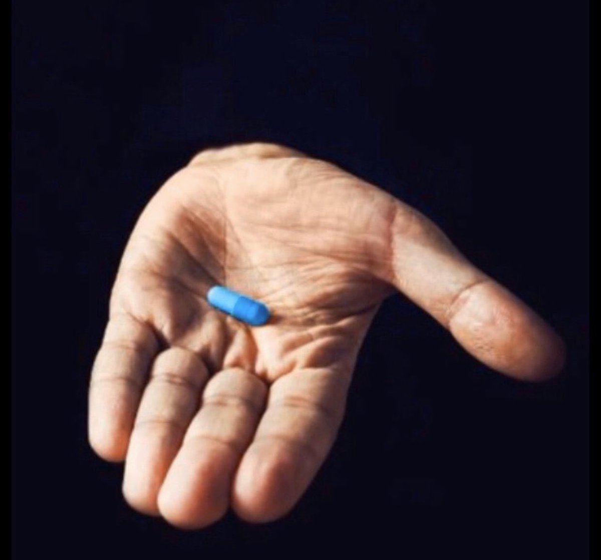 AFB_MOD's tweet photo. Tell me which pill are you taking?? And why?? 

Keep it healthy 🐱 https://t.co/guuNG39hHa