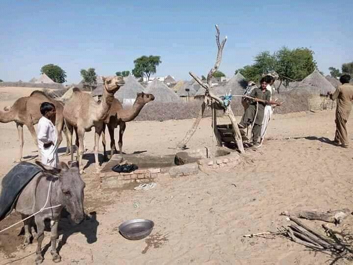 پورے ملک کے لئے دریاؤں کا پانی اور ڈیم بھی انہیں کے لئیے مگر تھر کے لوگوں آج تک وہی ہزاروں سال پرانا طریقہ کوہیں سے پانی بھرتے ہیں جو ضرورت کے لئے ناکافی ہے اور آروپلانٹ بھی سارے کے سارے خراب ہو گئے تھر کے کوئلے کے بدلے کینال دو 
#TharNeedsWater