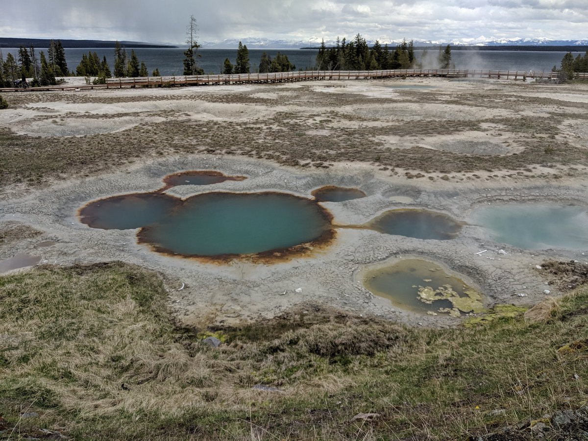 I have waited for over a month to make my very first tweet. So here it is-all the beautiful places I have visited in the past 1 year! I know it is late for Earth day, but hey it’s my birthday today! #BirthdayInQuarantine #earthdayeveryday #FirstTweet