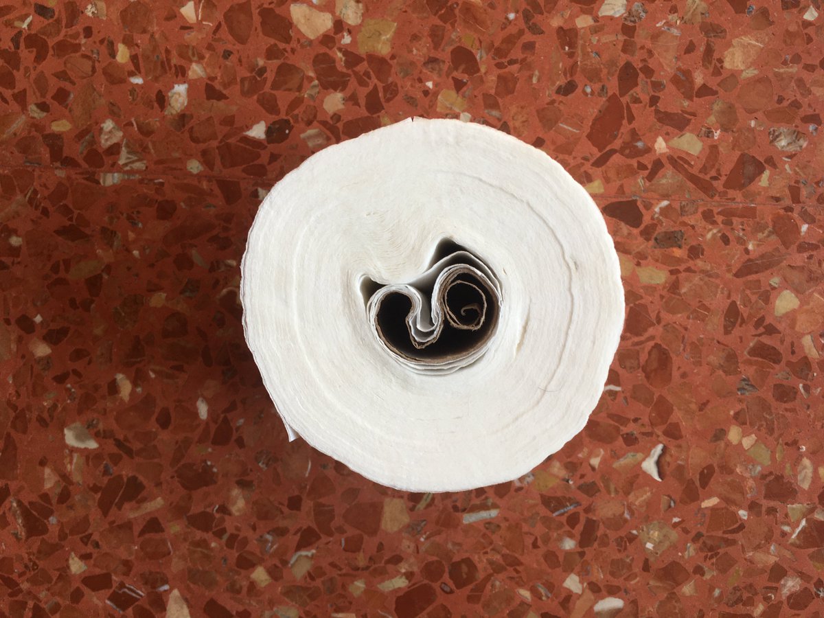 Rollo después de pasarme el challenge, muy trabajado.   0!=1 #feto #origen #10toqueschallenge  #Toiletrollchallenge