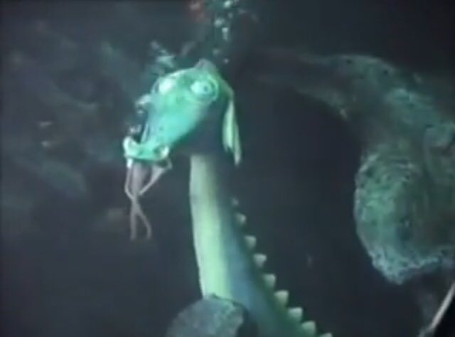 This one is also a sea dragon but this one’s eyes go fucking crazy, I would post a gif but my twitter is being weird