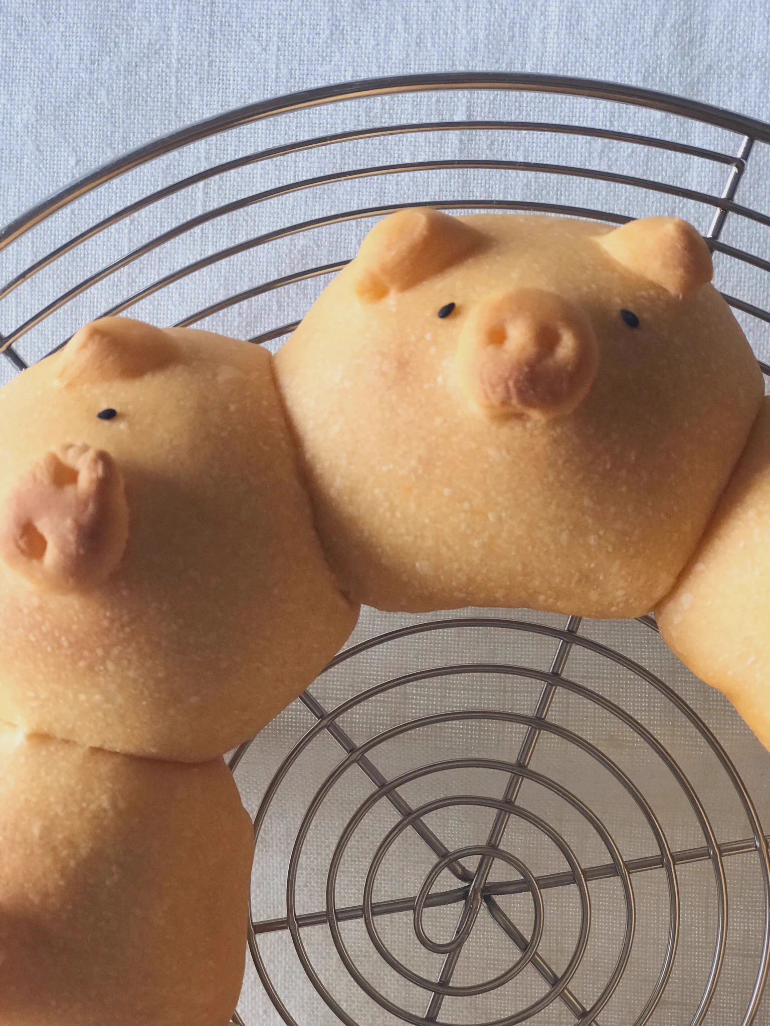 食べるのもったいない！子豚たちのちぎりパンが可愛すぎると話題に！