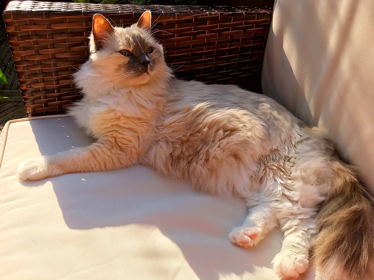 Prince Toby & Princess Betty #OTRB tweet media