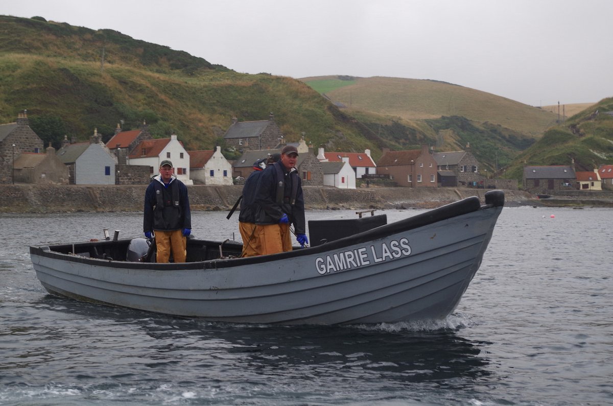 Of Fish and Foe ( @OfFishAndFoe)This documentary explores the controversial issues around salmon fishing, and follows a Scottish family at the heart of it all.Available until Tuesday:  https://www.bbc.co.uk/iplayer/episode/m000gzv8/of-fish-and-foe
