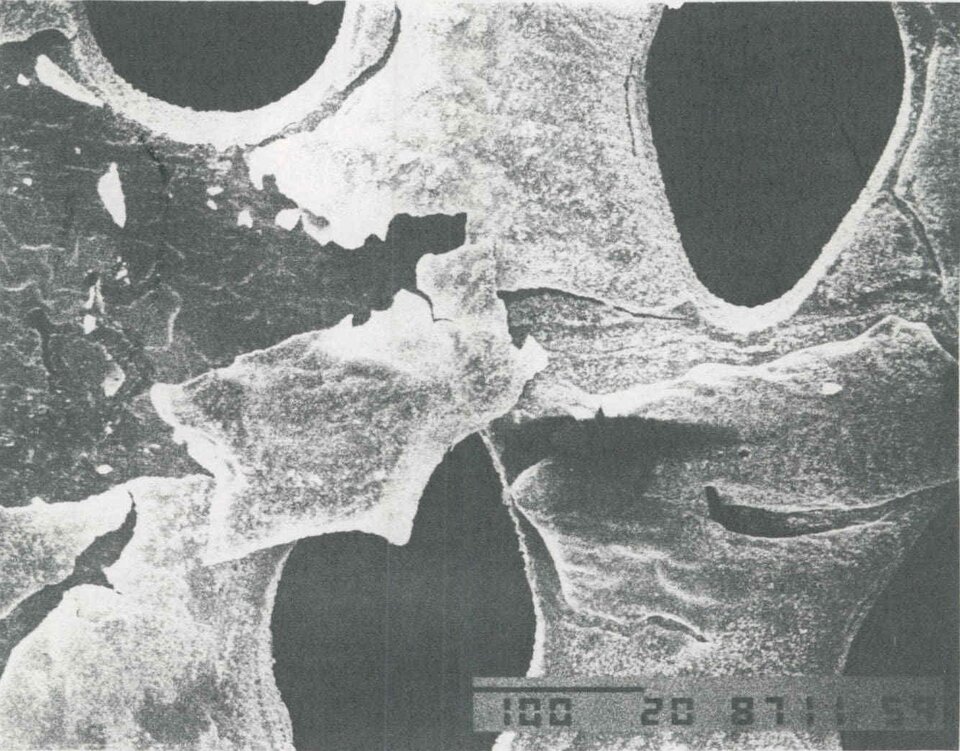 The 1st Shuttle came back with severely eroded thermal blankets - shocking everyone. The culprit was atomic oxygen: highly reactive, individual oxygen above the atmosphere. It would eat up  @HubbleTelescope blankets in weeks. Designers had to start again 9/28