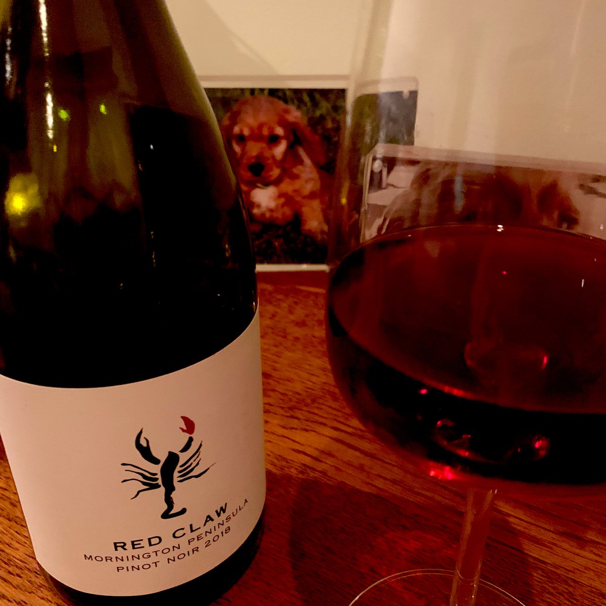 Renee Gimbert (@reneegimbert) on Twitter photo #FridayWineClub has officially started in my time zone.... so Iโve opted for one of @NickPearsonRuns & <a href="/tomwilliams1974/">Tom Williams</a> favourites!
Iโm looking forward to watching <a href="/fairboyruns/">Tom Fairbrother</a> running a marathon on a treadmill in a ๐ฏ costume this weekend!! Cheers everyone ๐ท #FridayWineClub has officially started in my time zone.... so Iโve opted for one of @NickPearsonRuns & <a href="/tomwilliams1974/">Tom Williams</a> favourites!
Iโm looking forward to watching <a href="/fairboyruns/">Tom Fairbrother</a> running a marathon on a treadmill in a ๐ฏ costume this weekend!! Cheers everyone ๐ท