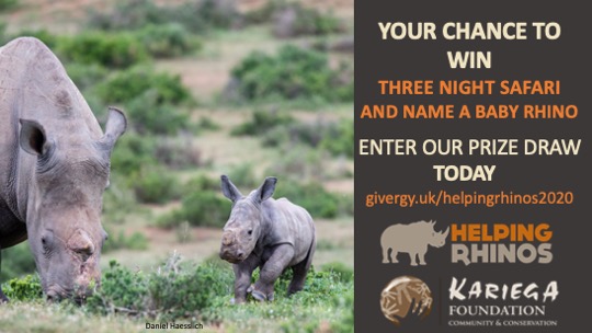 KariegaGameRes's tweet photo. @SiyaKolisi_Bear Your name has been suggested for the next baby rhino born at Kariega Game Reserve. What name would you choose? Please enter & RT our @HelpingRhinos prize draw. Help protect our rhino: https://t.co/40xaEAZqQn. #winasafari #nameababyrhino https://t.co/pD2QUZHtWX