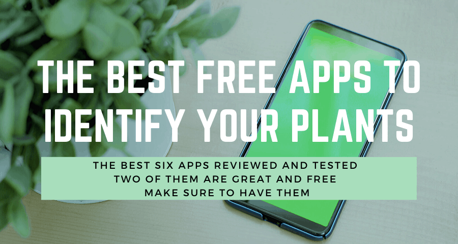 CandideTech's tweet image. A review of our app UX and plant identification by @HerbsIndoor &apos;A hidden gem... It never failed in recognizing the family to which the plant belongs... Exceptionally well designed... Its true value comes with the extra features of this app.&apos; 🤩

bit.ly/2yF9ziS
