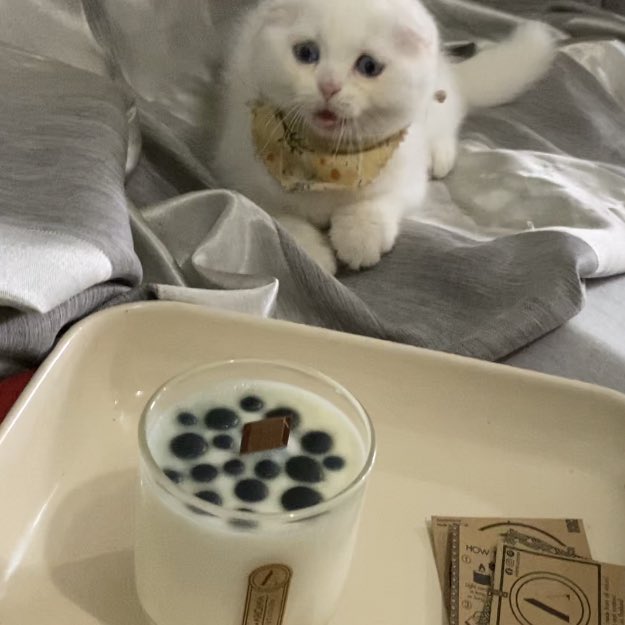 รีวิวเทียนหอมกลิ่น tea จากร้าน aramo.aroma คับ ไม่อน่อย อย่าแดก