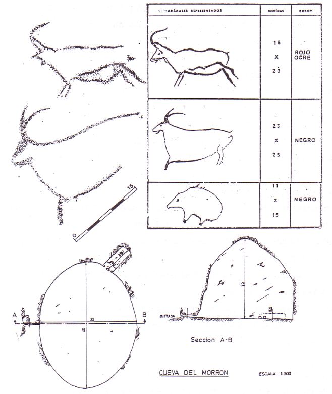 The discovery of the Paleolithic art was made in 1981 by Juan A. Bonilla, Carmen Ortiz, Ricardo Blanco and Ricardo Ruiz (from the old speleologists groups "Amaya" and "Equus”, Burgos). (Figure: José Manuel Troyano Viedma)
